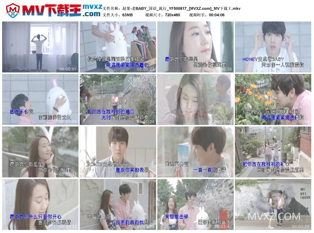 赵果-老BABY_国语_流行_YF500817